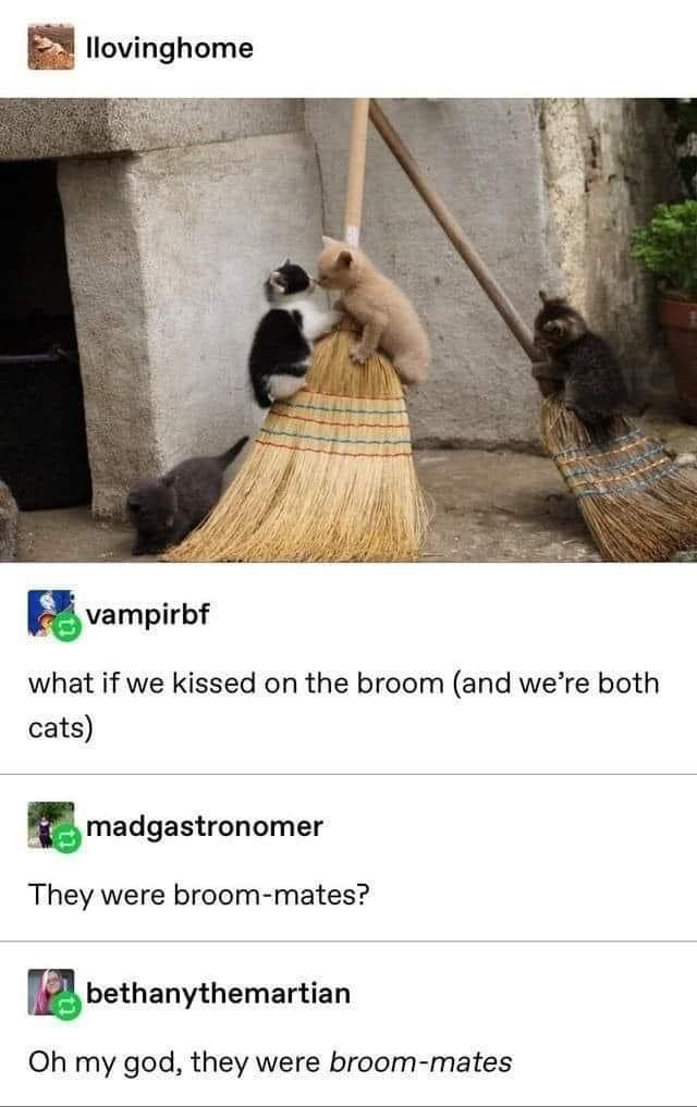 This meme is a screenshot of a Reddit-style comment thread. The image shows a group of cats sitting on a broom, which is a play on the phrase "broom mates" (a pun on "room mates"). The text below the image reads: "In 2-3 sentences, describe this meme for someone who cannot see it. Include any text that appears in the image."